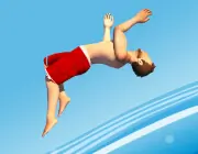 Flip Diving